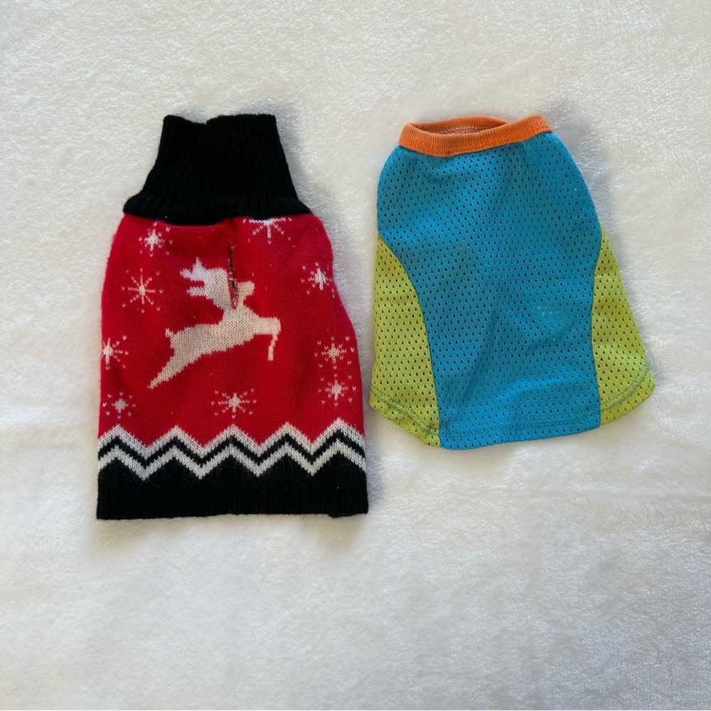 🐶 Petite Dog Clothes - Summer & Winter Pair 😍